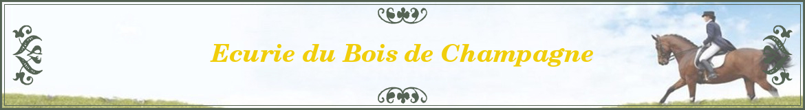 Ecurie du Bois de Champagne